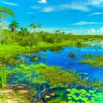 Urlaub Brasilien • Pantanal (Sehenswürdigkeiten)